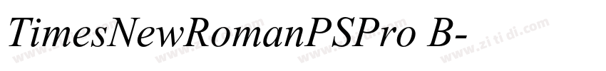 TimesNewRomanPSPro B字体转换